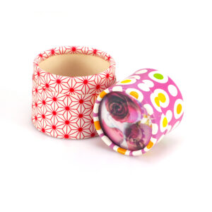 Surprise Jewelry Box